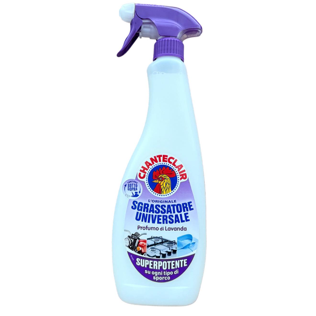 576369488_1396079805855267_2346049402359536646_n