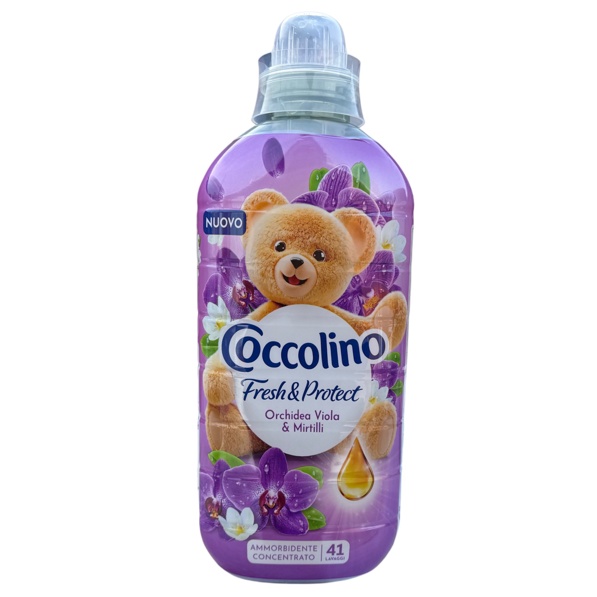 641493573_1488617239934856_8361290224556372776_n