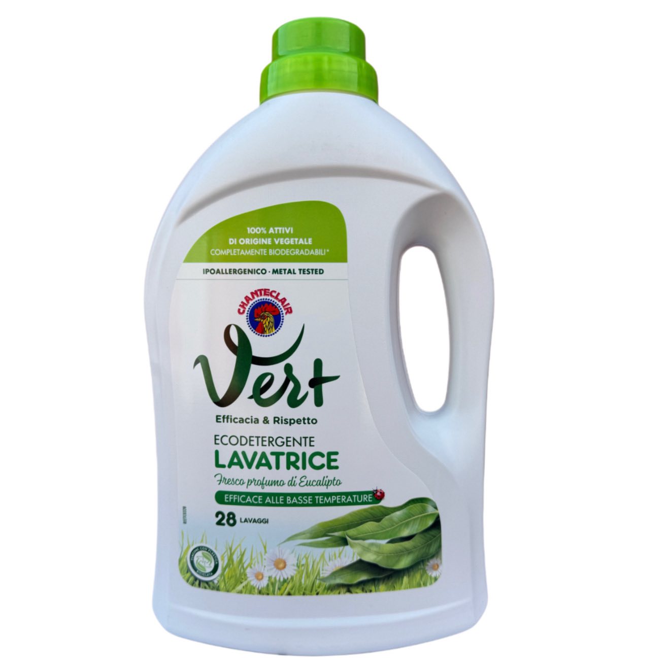 655252795_1512661770863736_3179351114217280780_n