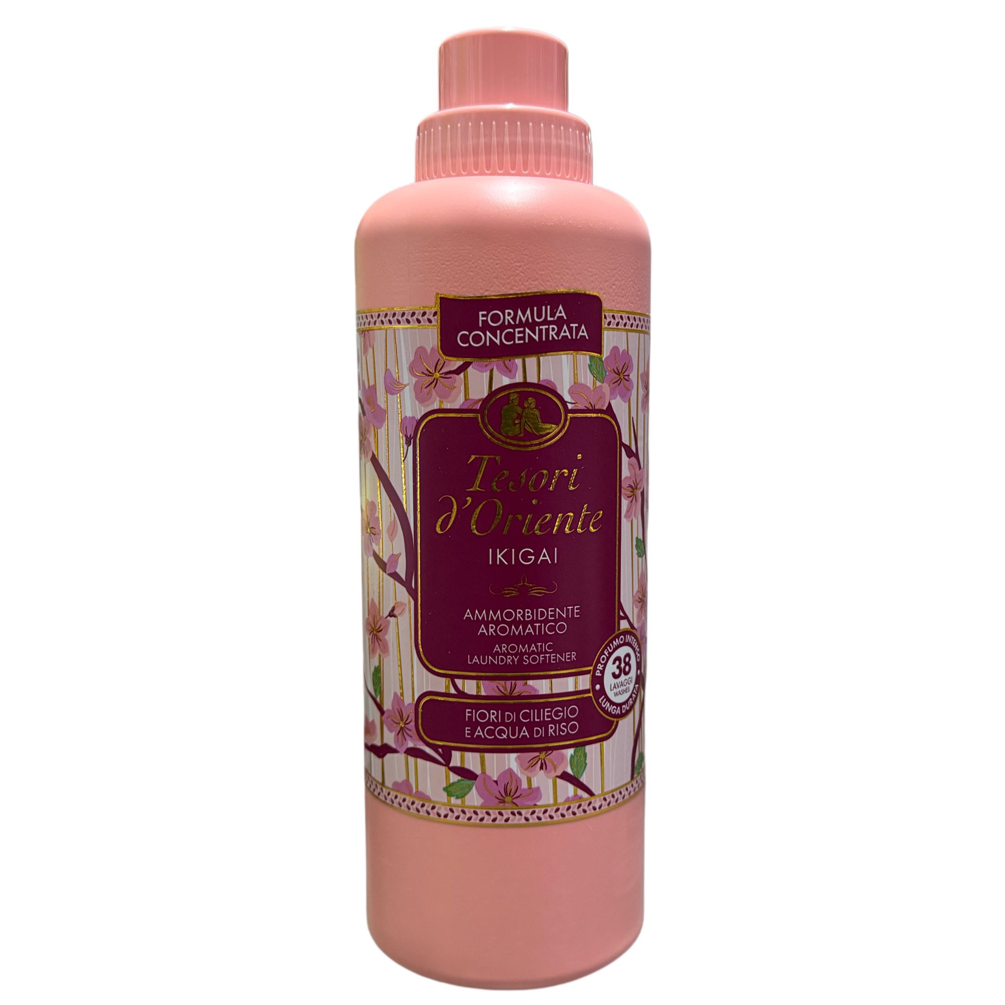 667489503_1528232765973303_8251977055352989319_n